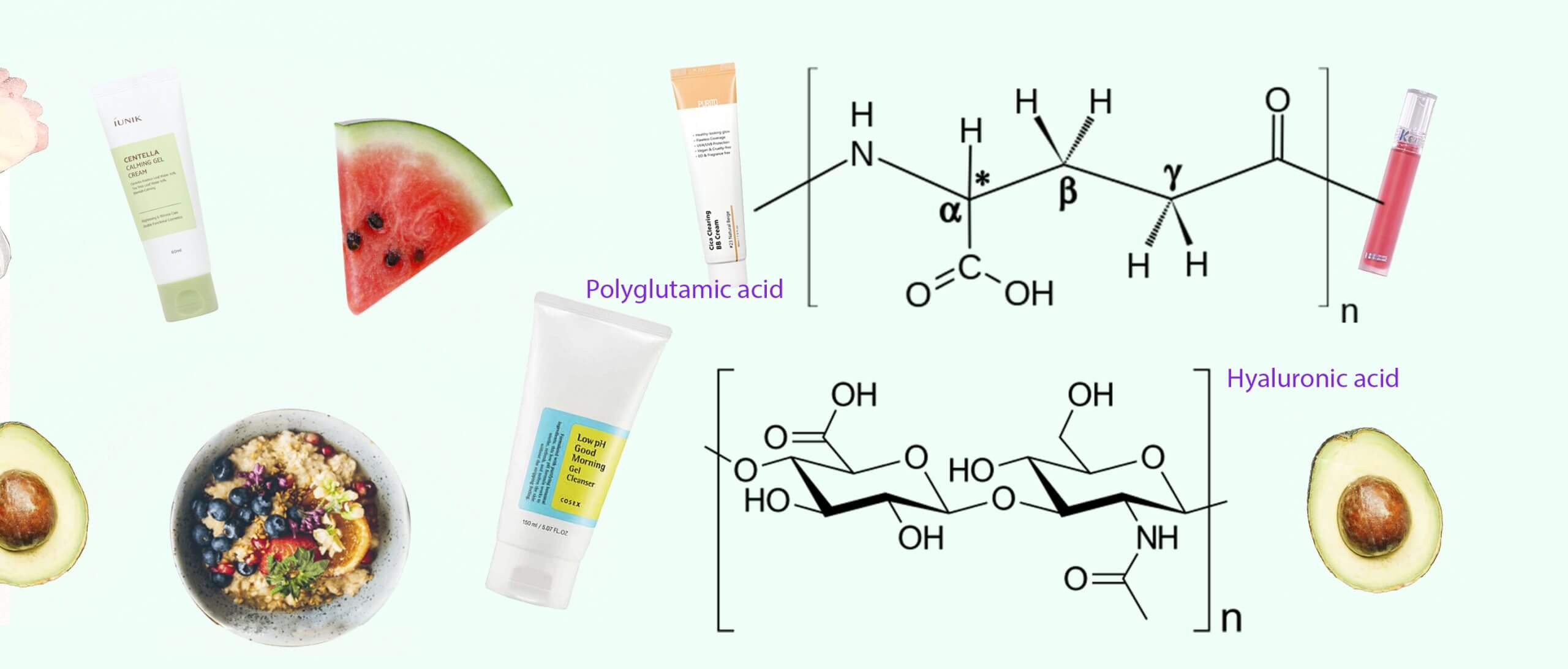 Polyglutamic acid OR Hyaluronic acid? In simple terms…