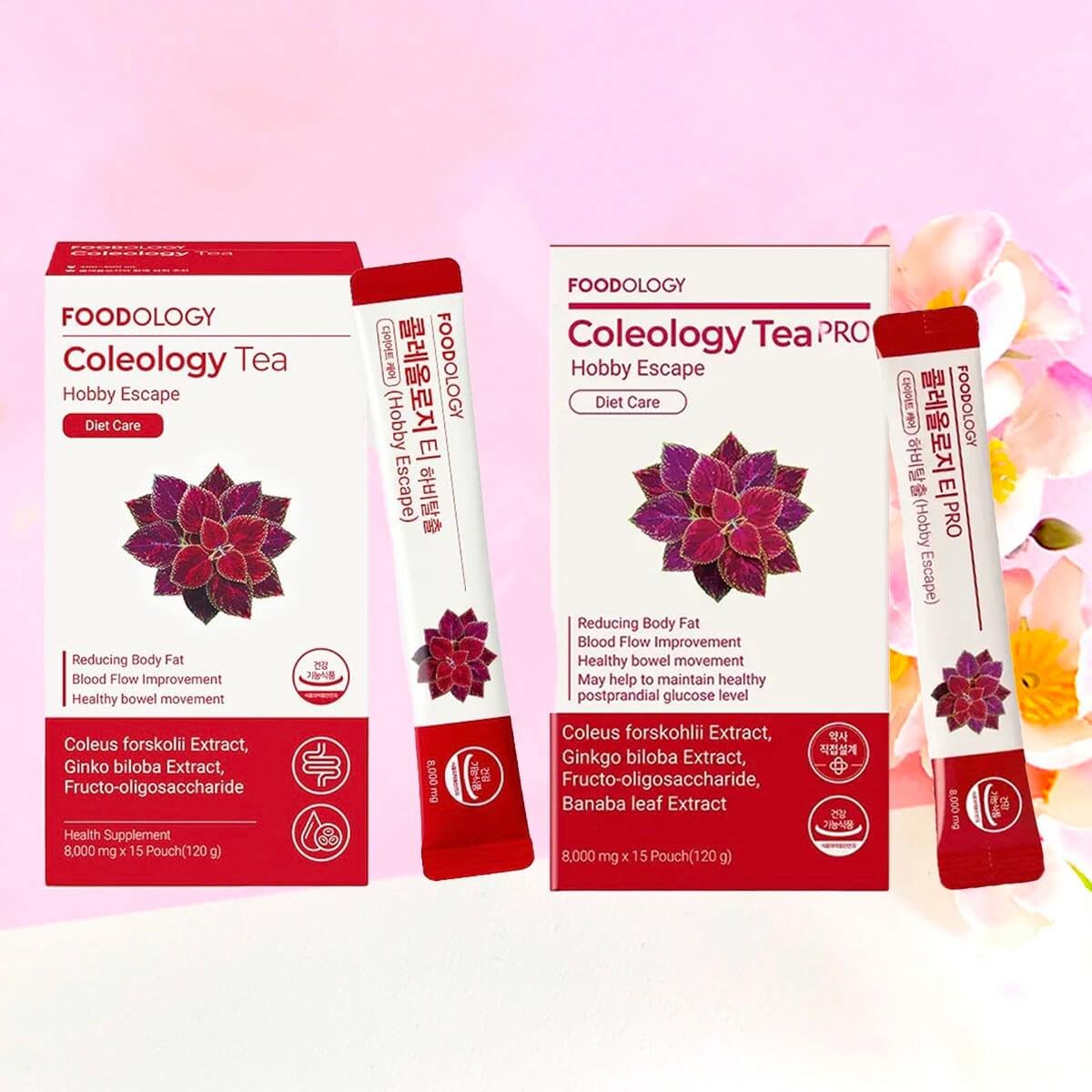 ダイエットドリンク FOODOLOGY Coleology Tea Foodology - Coleology Tea / Pro - 15 Pouch (120g) | My Exercise